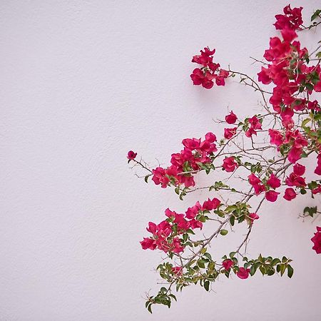 Spetses Retreat Accommodation מראה חיצוני תמונה