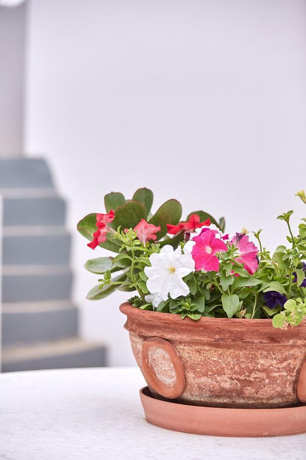 Spetses Retreat Accommodation מראה חיצוני תמונה