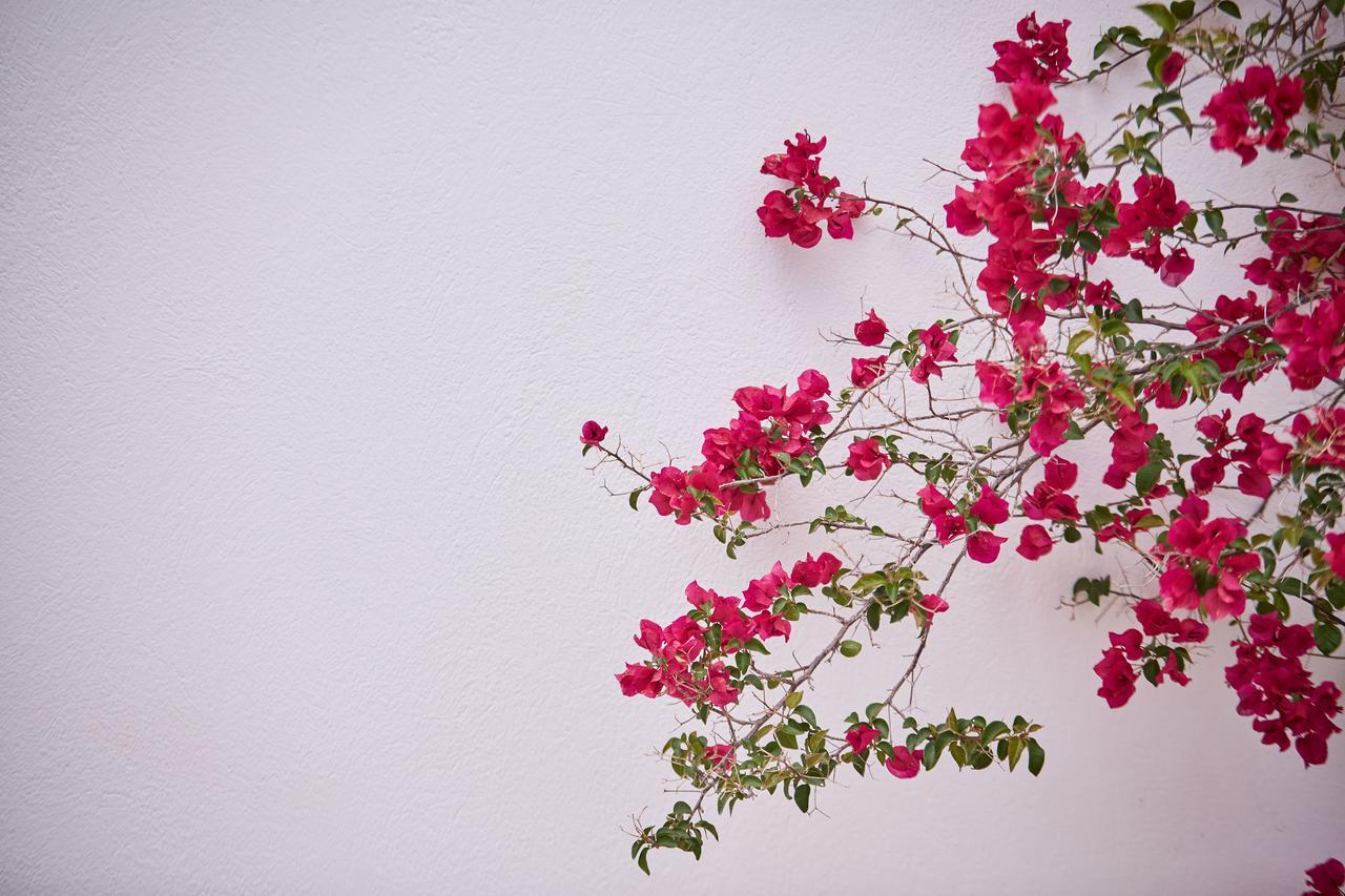 Spetses Retreat Accommodation מראה חיצוני תמונה