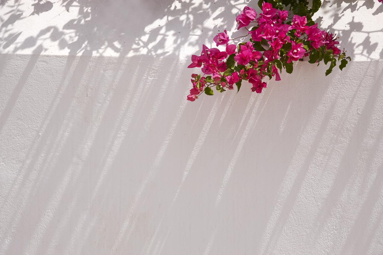 Spetses Retreat Accommodation מראה חיצוני תמונה